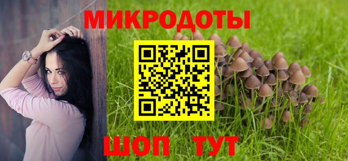 Галлюциногенные грибы Cubensis Новоалтайск