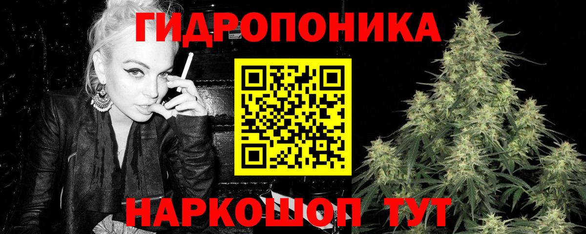 Каннабис план Новоалтайск